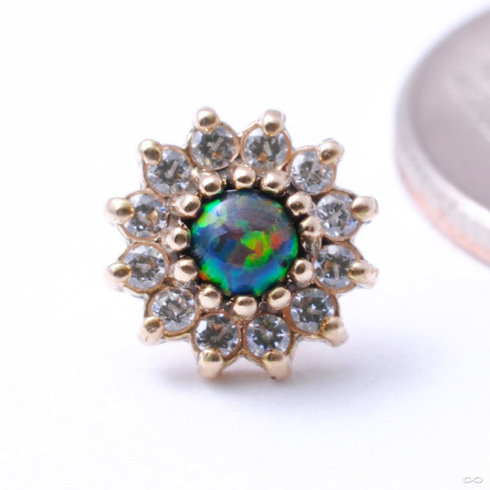 13 Stone Flower Press-fit End in Gold from LeRoi with Black Opal & Clear CZs