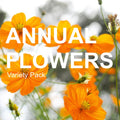 assortment of vibrant annual flower seed varieties in colorful packaging