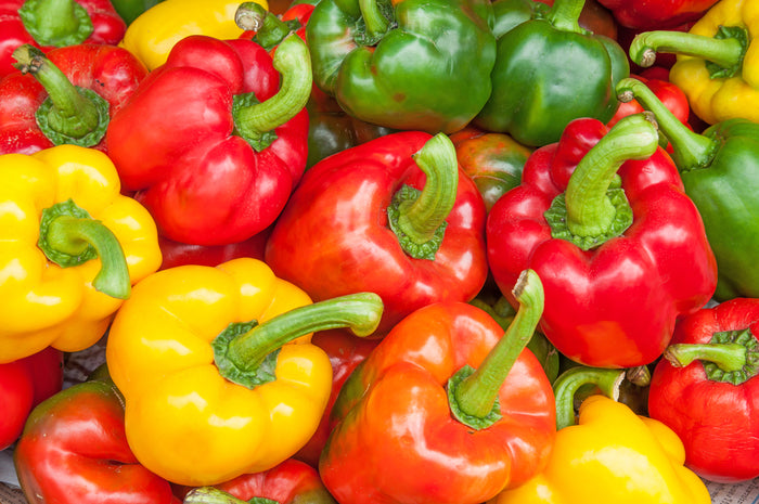 All-in-One Salsa Garden Variety Pack of seeds from SeedsNow-SeedBanks in a colorful assortment of vegetable seed packets.