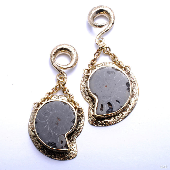 Ammonites in Textured Brass from Diablo Organics
