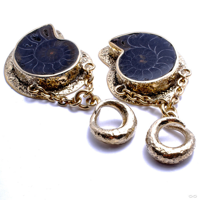 Ammonites in Textured Brass from Diablo Organics