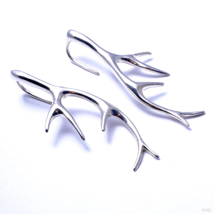 Antler Earrings from Tawapa in Silver