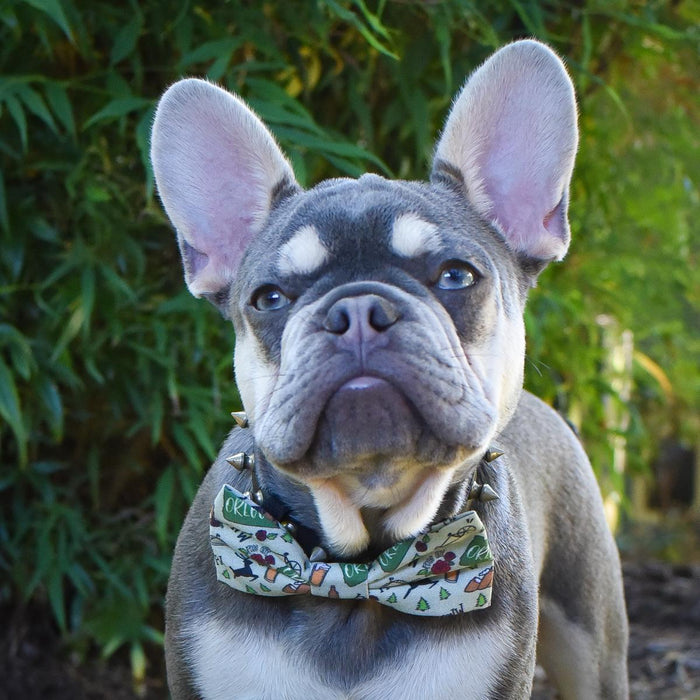 Chasin' Tail Dog Designs PNW Bow Tie
