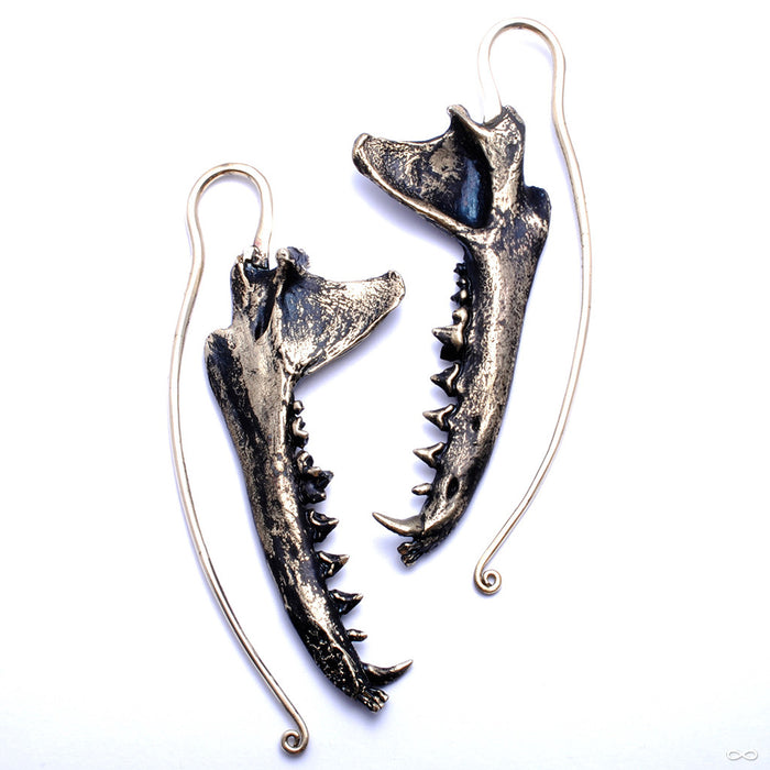Coyote Jaw Weights from Eleven44 in Brass