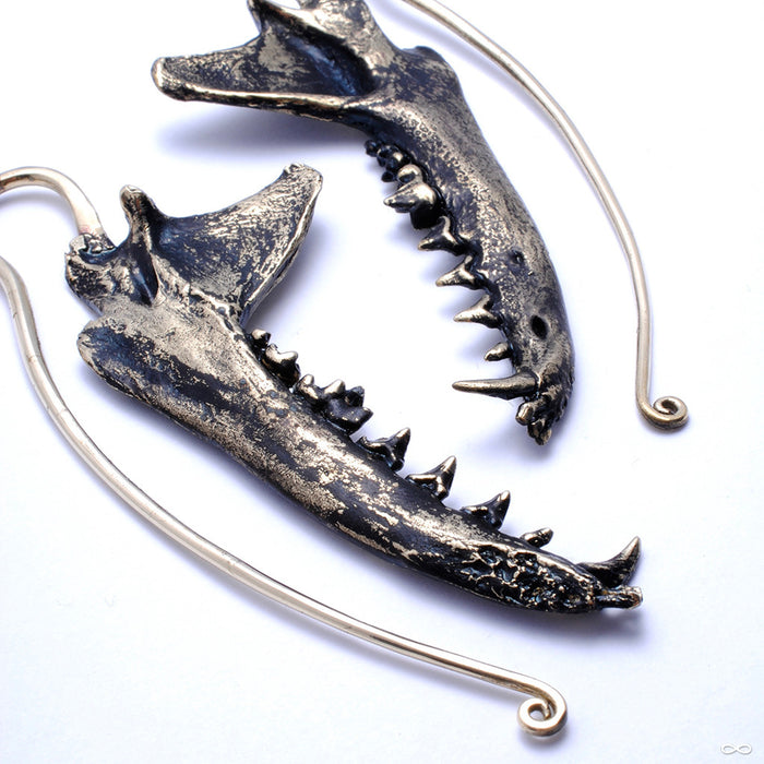 Coyote Jaw Weights from Eleven44 in Brass