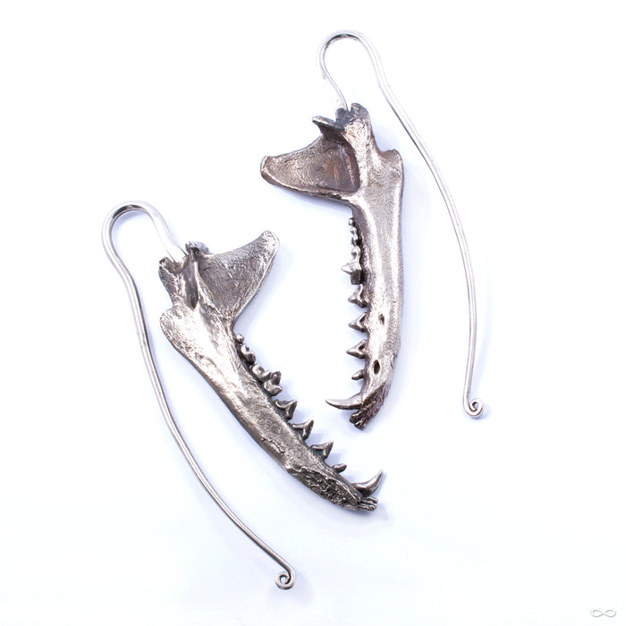 Coyote Jaw Weights from Eleven44 in white brass