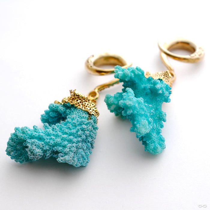 Crossovers with Blue Coral from Oracle