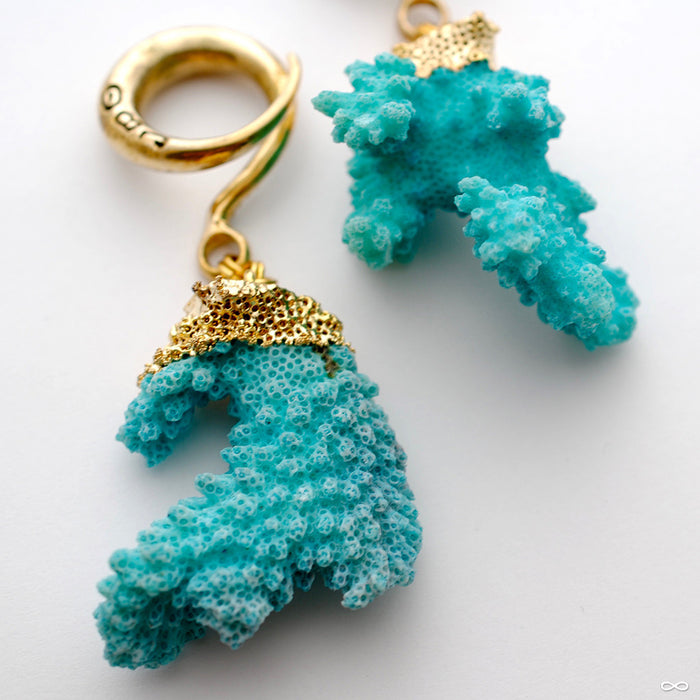 Crossovers with Blue Coral from Oracle
