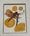 Dragonfly Card CC