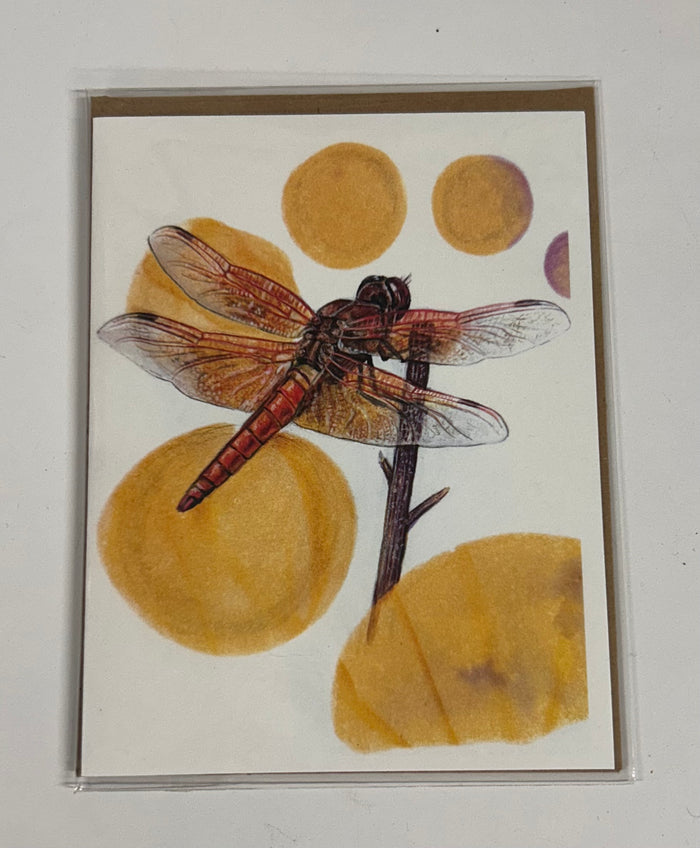 Dragonfly Card CC