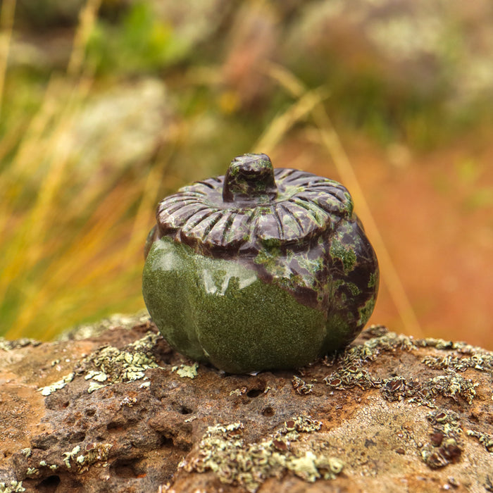 Dragons Blood Jasper Pumpkin