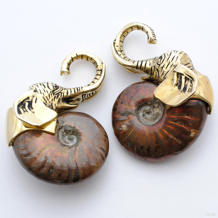 Elephant Ammonite Weights from Quetzalli