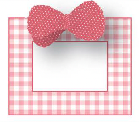 Gingham Bow Frame - Pink