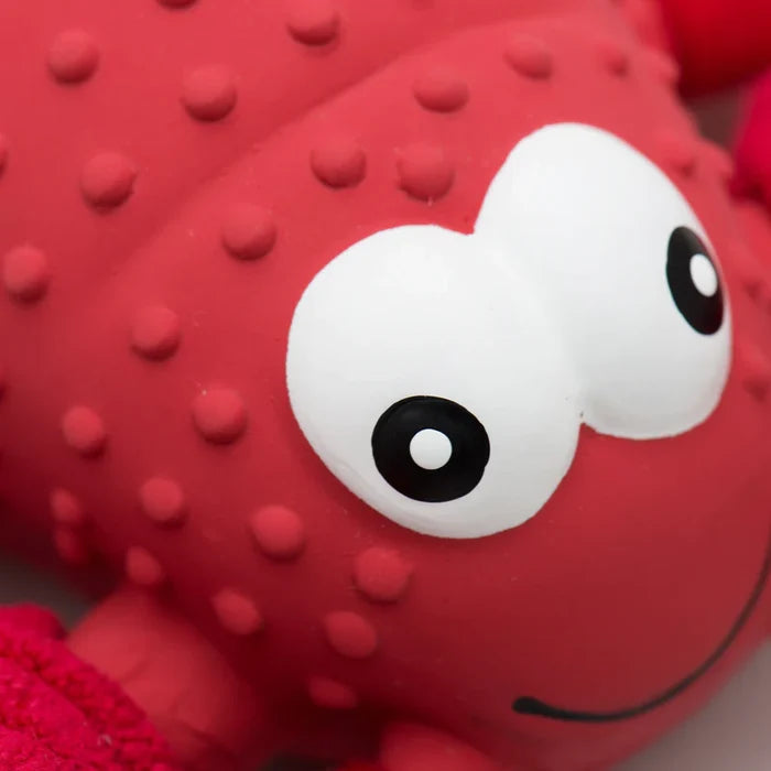 Hugglehounds Huggle-Fusion Dog Toy McCracken Lobsta