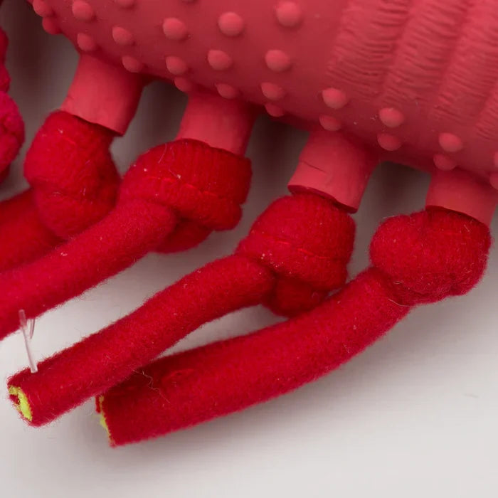 Hugglehounds Huggle-Fusion Dog Toy McCracken Lobsta
