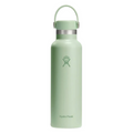 Hydro Flask Aloe Standard Flex Cap, 21oz