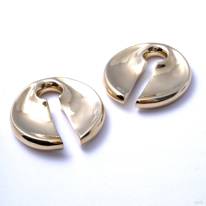 Keyhole Weights from Diablo Organics in Large