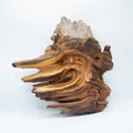 Knothead Carving, Medium