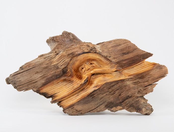 Knothead Carving, Small