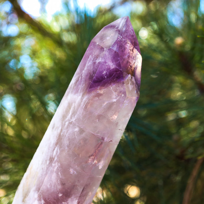 Natural Amethyst Point Crystal Point Aquarius