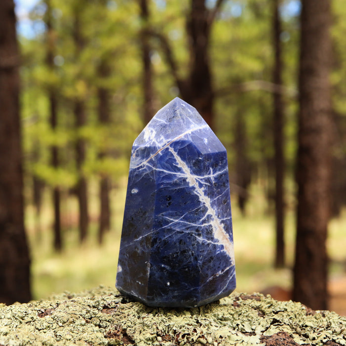Large Sodalite Point