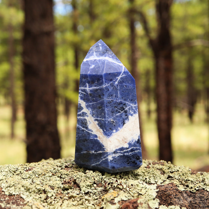 Large Sodalite Point