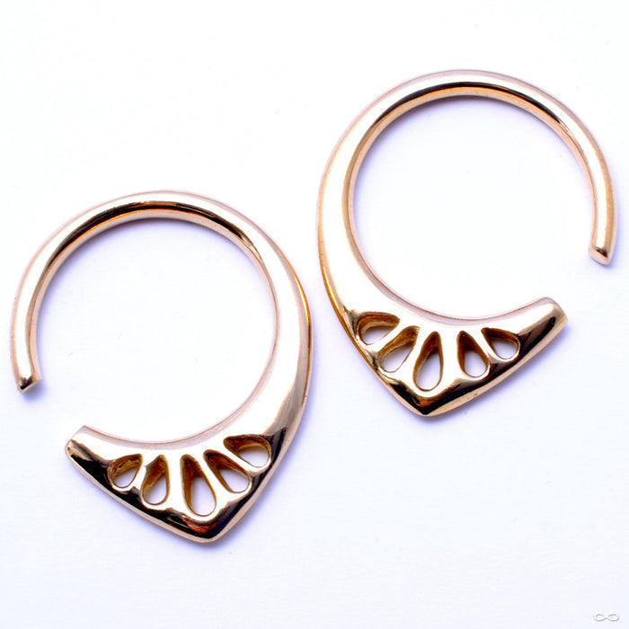 Lotus Weights in Brass from Diablo Organics