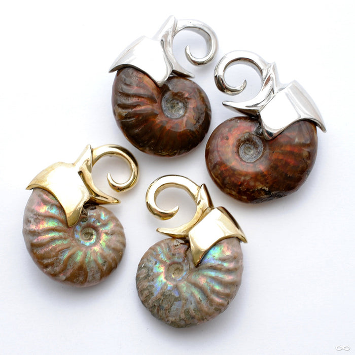 Mini Ammonite Weights from Quetzalli