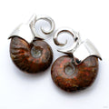 Mini Ammonite Weights from Quetzalli