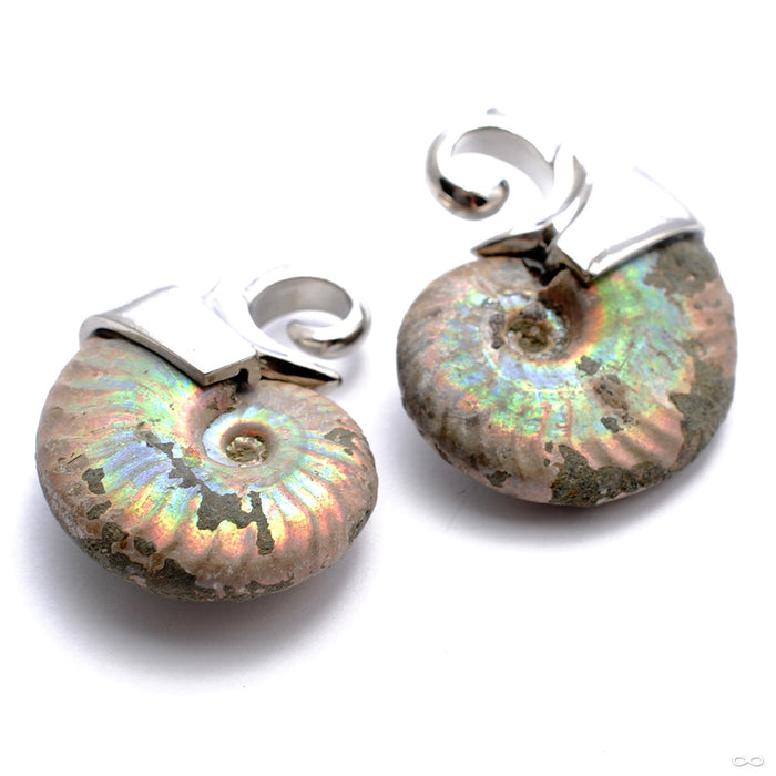 Mini Ammonite Weights from Quetzalli