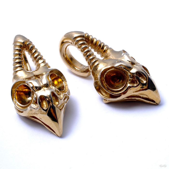 Owl Skull Weights from Tawapa in Brass