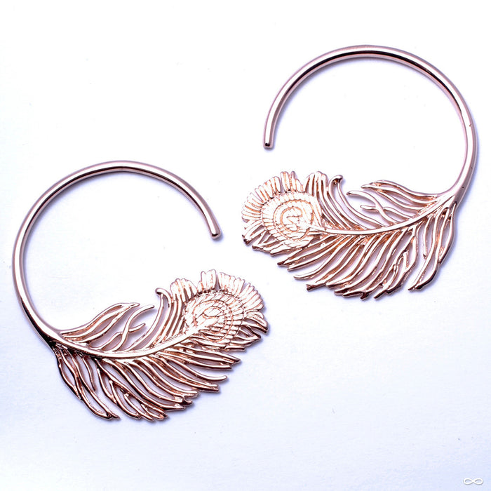 Peacock Feather from Tawapa in Rose Gold