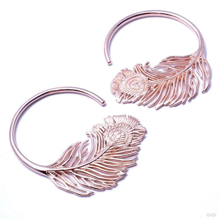 Peacock Feather from Tawapa in Rose Gold