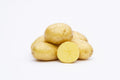 Early-season Albertine potatoes with yellow skin and flesh, smooth skin, shallow eyes, and one cut in half showing yellow interior