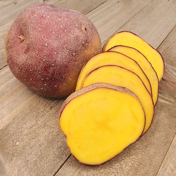 Organic Cheshire early-season potato seed from SeedsNow-Potatoes, showing round, fresh potato tubers ideal for planting.