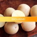 Organic Malou early-season potato seed from SeedsNow-Potatoes, showing fresh, healthy potato tubers for planting.