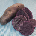 Purple Peruvian Fingerling potato seed from SeedsNow-Potatoes, showing elongated purple-skinned tubers with smooth surface.