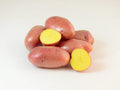 Late-season Ramona potato seed, a healthy seed potato from SeedsNow-Potatoes, shown in a close-up image.