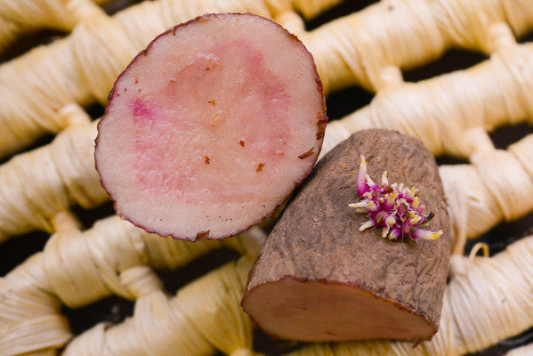 Organic Red Thumb Fingerling Potato seed from SeedsNow-Potatoes, showing a small, elongated red potato with smooth skin.