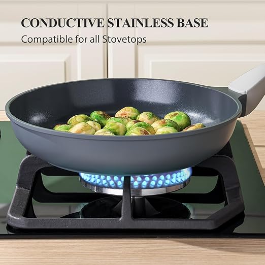 PRICUSIS Nonstick Ceramic Frying Pan Skillet, 8+12 Inch Induction Compatible with Stay Cool Handle, Healthy PTFE PFAS & PFOA Free Omelet Pan, Dishwasher Safe (Blueberry Gray)