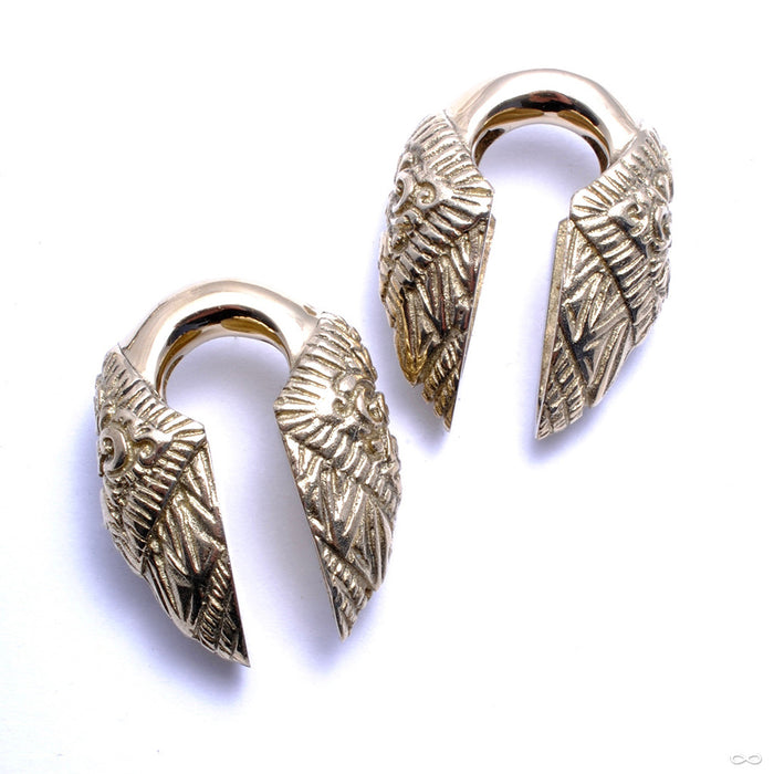 Ratta Weights from Diablo Organics in Brass