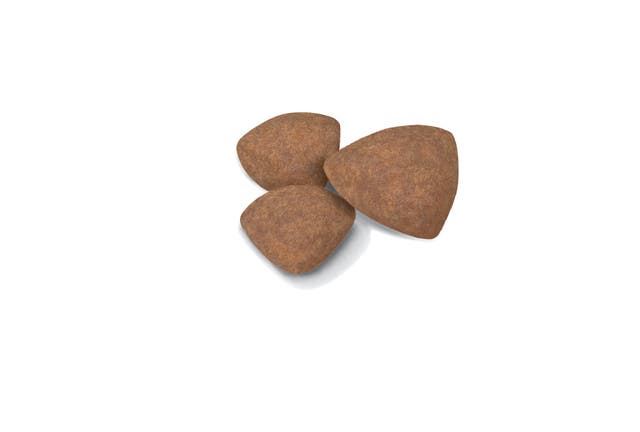 Royal Canin Small Puppy Dry food for Dog