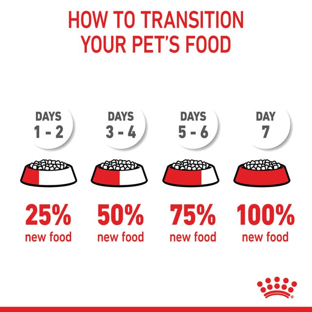 Royal Canin Small Puppy Dry food for Dog