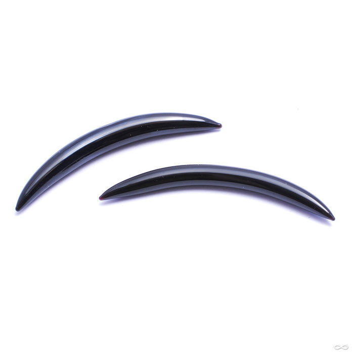 Septum Tusk from Gorilla Glass