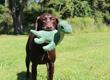 Tall Tails Dog Toy Plush Rope Crunch Nessie 13"