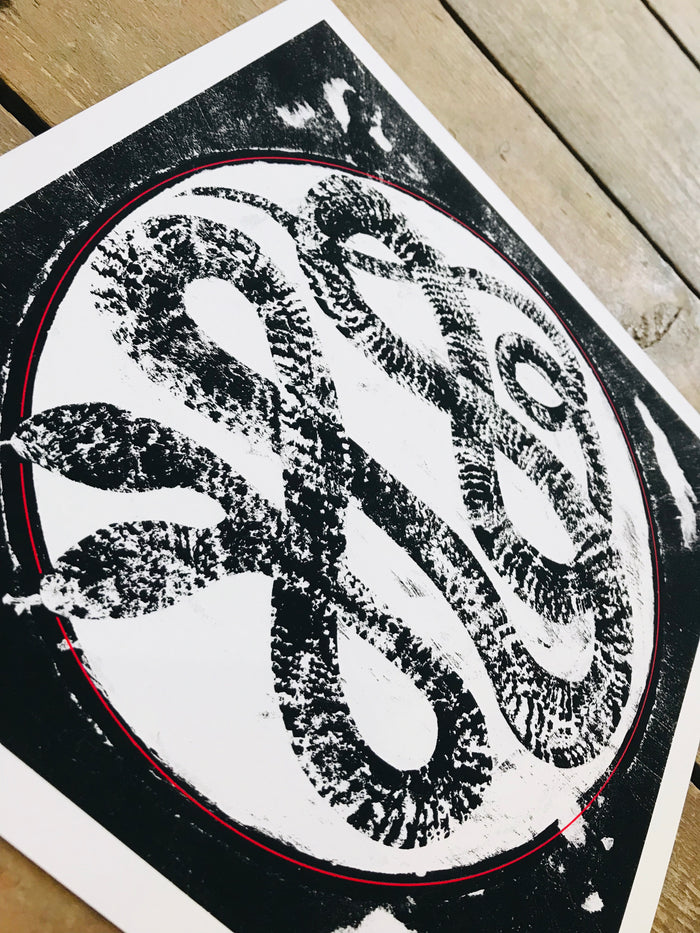 Two Headed Snake 8x8in Giclee Print