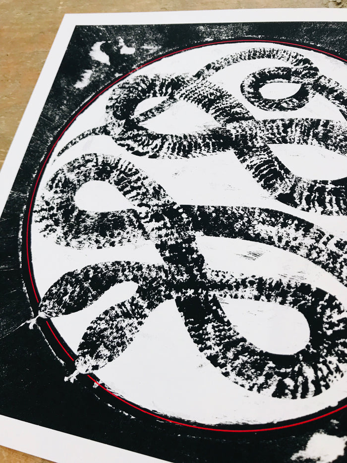 Two Headed Snake 8x8in Giclee Print