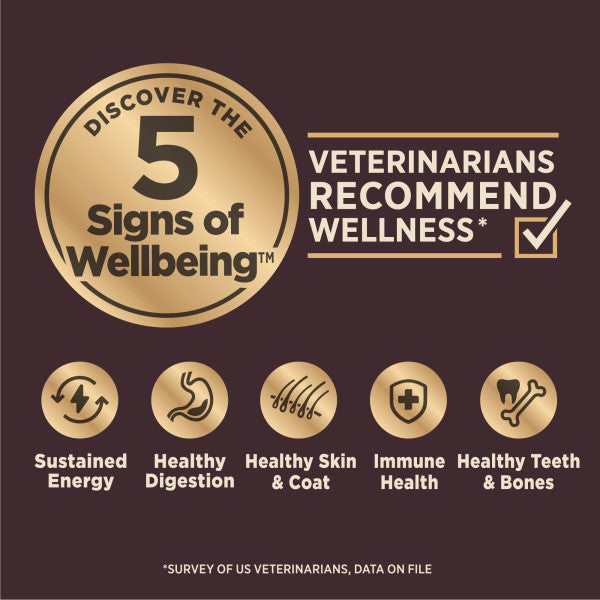 Wellness CORE Digestive Health Chicken & Brown Rice Dog Food