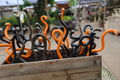 A wooden planter box filled with multiple curled, snake-like sculptures in glossy black and bright orange, photographed outdoors with a blurred garden or market background.